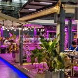 成都的夏天是不是快来了呀[害羞]和朋友喝酒吃小龙虾的宝藏天台