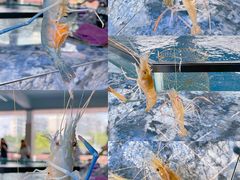 -SHRIMP CLUB万东餐饮钓虾·清吧