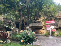 -海口观澜湖火山温泉谷