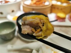 黑鱼子香菇烧卖皇-陶陶居酒家(海岸城店)