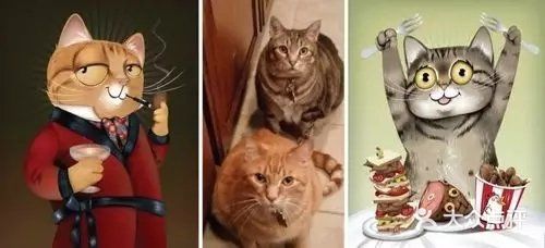 听说猫咪也有可爱的肖像呢