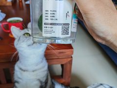-喜茶(北京华贸购物中心店)