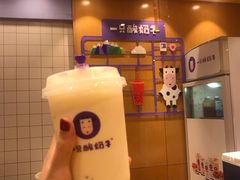 -一只酸奶牛(八一路店)