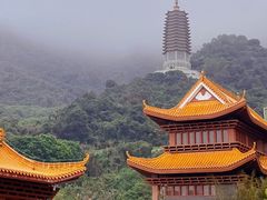 -深圳仙湖植物园