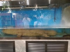 -九尊食上(生态园林酒店)