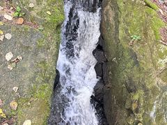 -庐山风景区花径公园