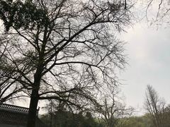 -南山风景名胜区