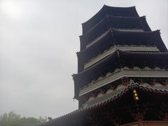 -西湖外事游船(花港观鱼码头)