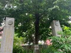 -广州神农草堂中医药博物馆