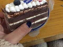 -卡吉诺动物奶油生日蛋糕(中原路店)