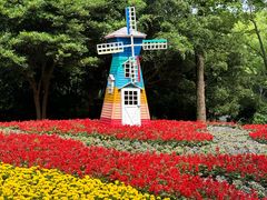 -上海共青森林公园