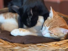 -溪口-滕头旅游景区