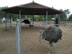 -意大利农场度假村