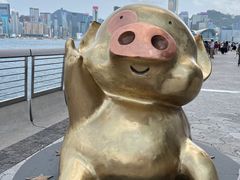 -星光大道