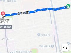 -姑苏家宴·苏帮菜·松鼠桂鱼(苏州总店)