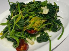 老坛酸菜炝炒红薯尖-眉州东坡(团结湖店)