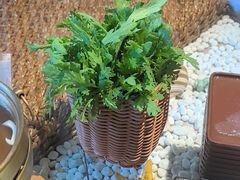 -慢丽江·云南野生菌土鸡锅(西山店)