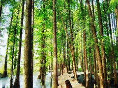 -东湖落雁景区