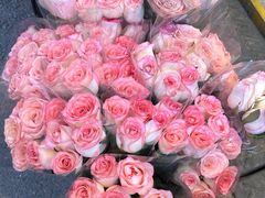 -循礼门鲜花花市(武汉循礼门店)