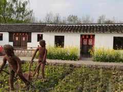 -溱湖国家湿地公园