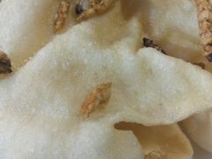 炸地参-翕庐小苑
