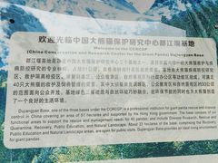 -都江堰中华大熊猫苑