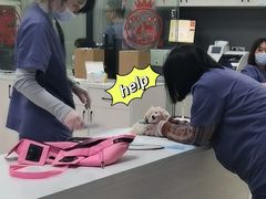 -福州肆爪动物医院