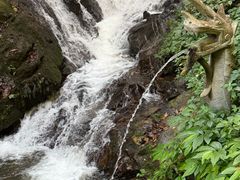 -莫里热带雨林景区