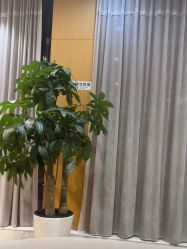 -Yestar艺星医疗美容医院