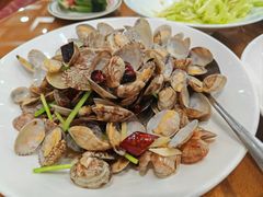辣炒红岛蛤蜊-良友·海鲜青岛菜(五四广场店)