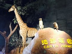 -扬州科技馆