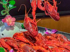 -舞虾小说.涮肉.烧烤(国顺东路店)