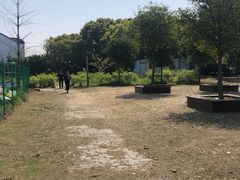 -鹅湖玫瑰文化园