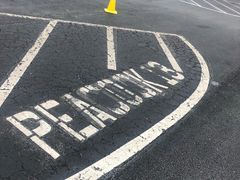 -奥兰多迪士尼动物王国乐园