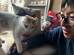 -猫和宫(六道口店)