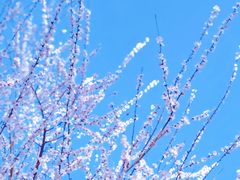 -三里河公园