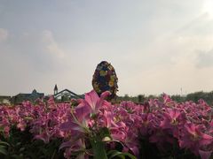 -南通鲜花小镇