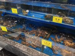 -新海渔港·胶东海鲜家常菜·家宴(奥体中心店)