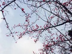 -天赐温泉