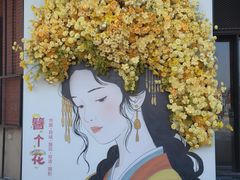 -荷兰花海