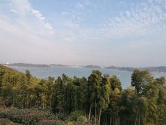 -天目湖涵田半山温泉
