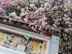 -深圳国际园林花卉博览园