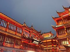 -绿波廊(豫园店)