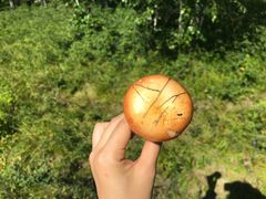 -哈乌尔河