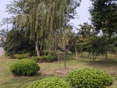 -梁鸿国家湿地公园