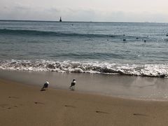 -海云台海滩