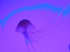 -沈阳海洋探索中心