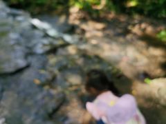 -十里琅珰