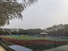 -武汉大学-樱园