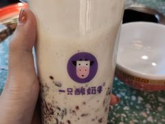 -一只酸奶牛(八一路店)